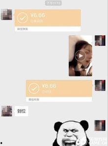 发哥娱乐爆料视频,视频内容大起底 第3张 发哥娱乐爆料视频,视频内容大起底 第3张